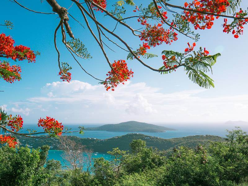 top things to do in st thomas usvi 2026 xplore vi